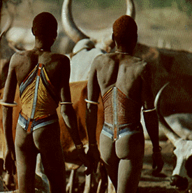 attraction1.GIF (59196 bytes)