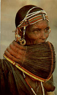 attraction2.GIF (50484 bytes)