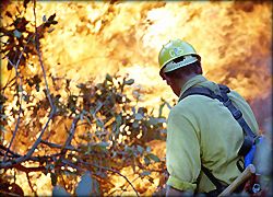 cafires.jpg (18720 bytes)