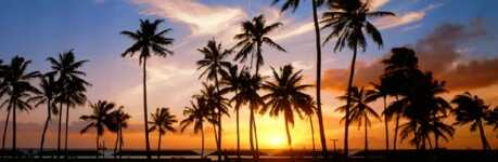 sunse2.jpg (4302 bytes)