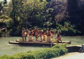 2tropical.jpg (6549 bytes)