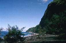 31H.jpg (4949 bytes)