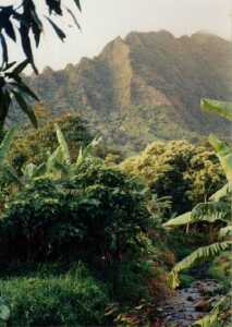 4majestic.jpg (10703 bytes)