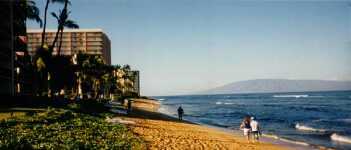 8beach.jpg (7643 bytes)