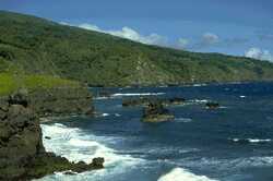 eco1.jpg (4328 bytes)