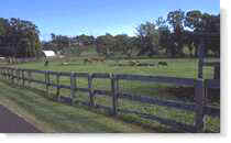 fence.jpg (4477 bytes)