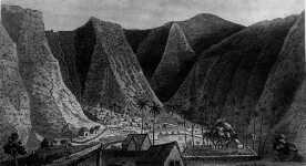 hamakua.jpg (6621 bytes)