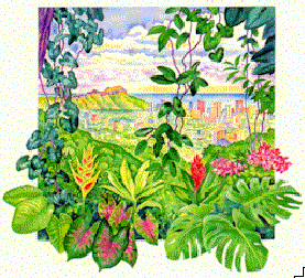 rohter.gif (42818 bytes)