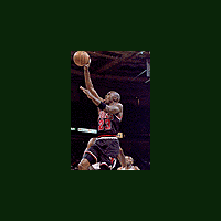 bulls.gif (41826 bytes)